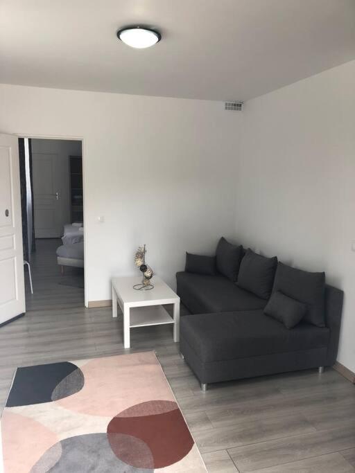 Top Appartement 10 Minutes De Disney Chessy (Seine-et-Marne) Exterior foto